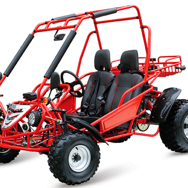 buggy1